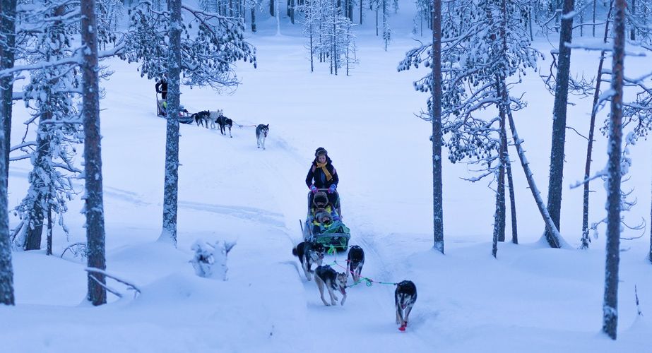 Husky safari Finland